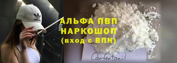 стаф Вяземский