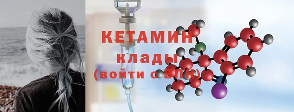 стаф Вяземский