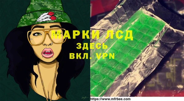 стаф Вяземский