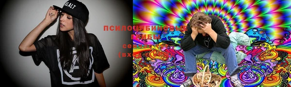 стаф Вяземский