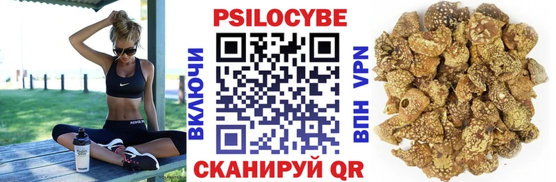 Псилоцибиновые грибы мицелий  Дубовка 