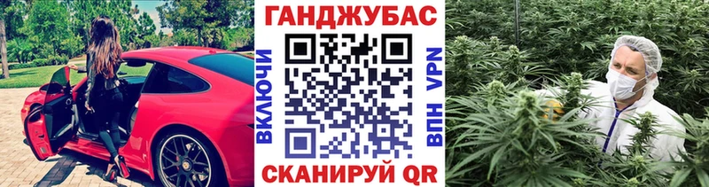omg сайт Дубовка Конопля индика
